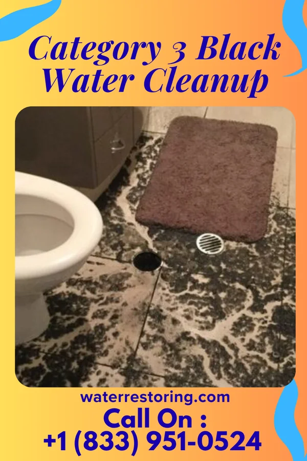 Category 3 Black Water Cleanup in Columbia, KY