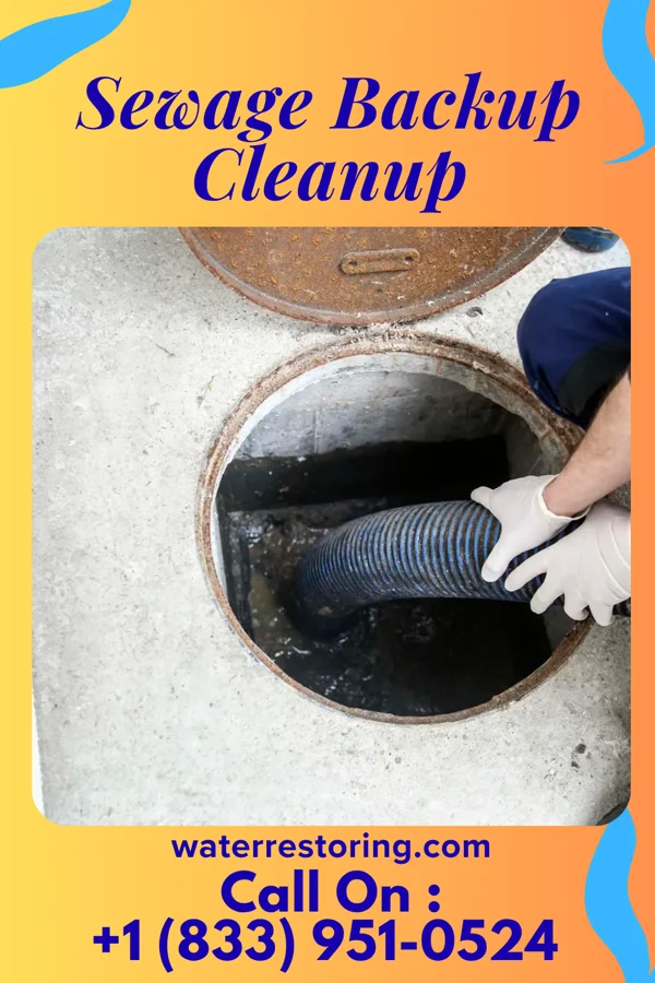 Sewage Backup Cleanup in Columbia, KY